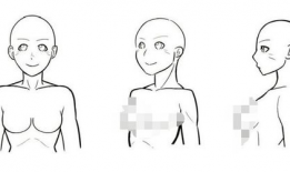 动漫胸部,胸部线条的艺术演绎