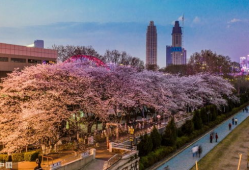 吃瓜爆料抖音网红酒店,吃瓜爆料背后的真实故事