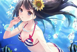 泳衣动漫,夏日风情与青春活力的完美融合