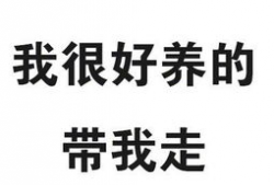 吃瓜爆料博主纯文字,吃瓜博主独家爆料，带你走进明星幕后生活