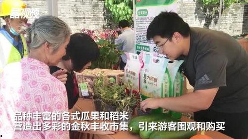 酒泉吃瓜最新事件爆料视频,最新爆料视频揭秘惊人内幕